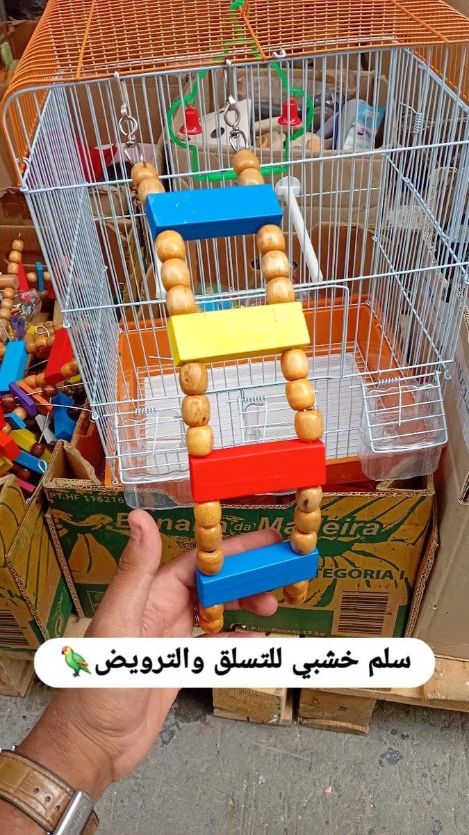 Jeux pour les oiseaux