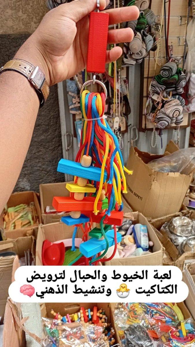 Jeux pour les oiseaux